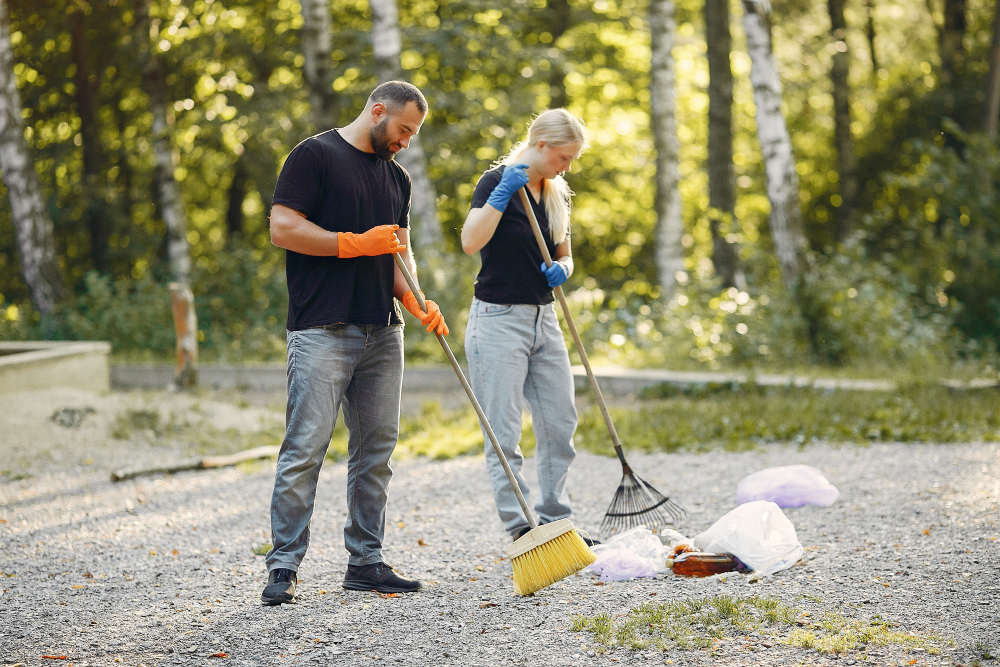 Public Area Cleaning